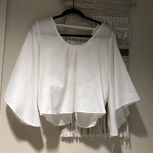 Lizard Thicket crop top